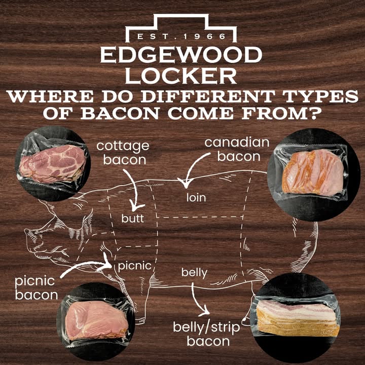 Edgewood Locker